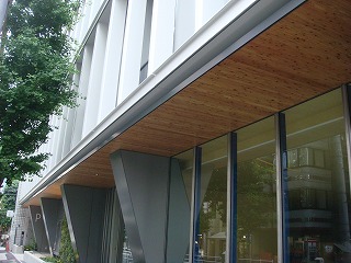 DSC07995